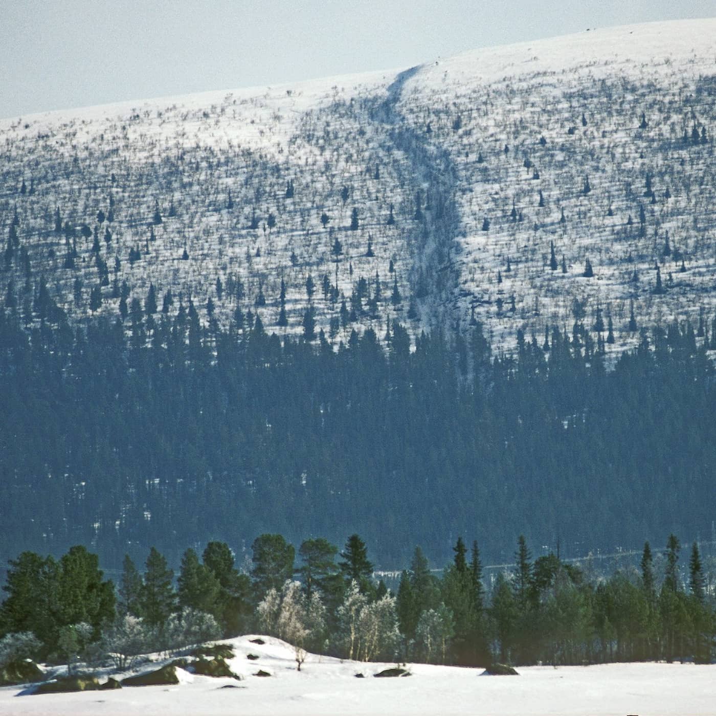 Om jordbävningen som skapade Pärvie, om kräftpesten och om naturen som en fristad episode artwork