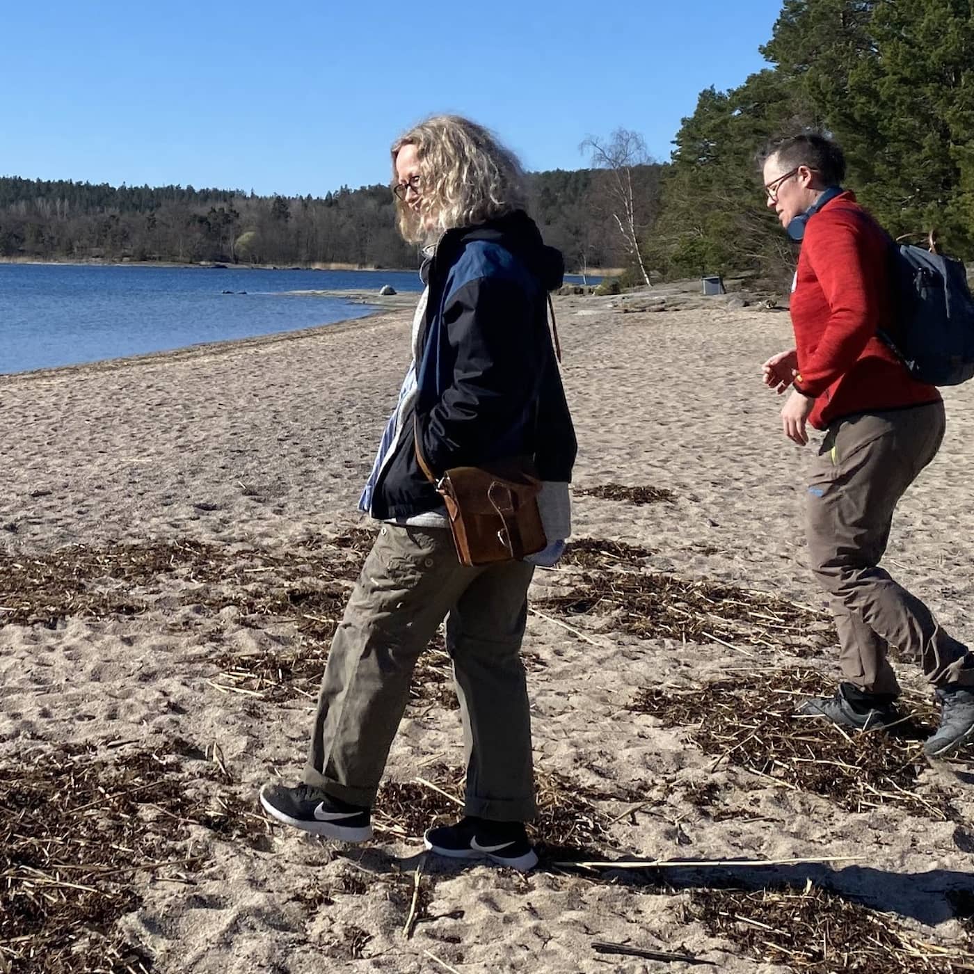 Östersjövåren under ytan - och vad skalbaggar kan säga om skogsbruk