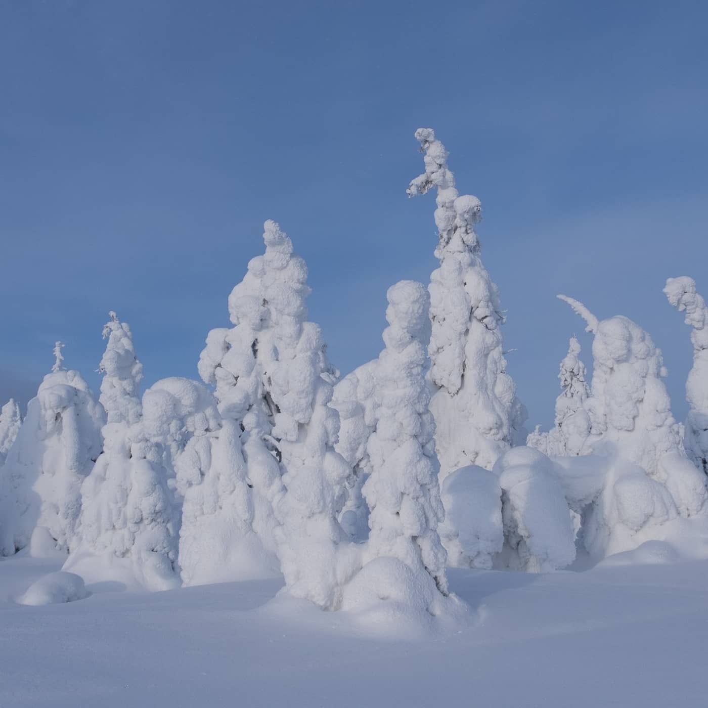 Vintern - en rejäl utmaning som vissa klarar bättre än andra episode artwork