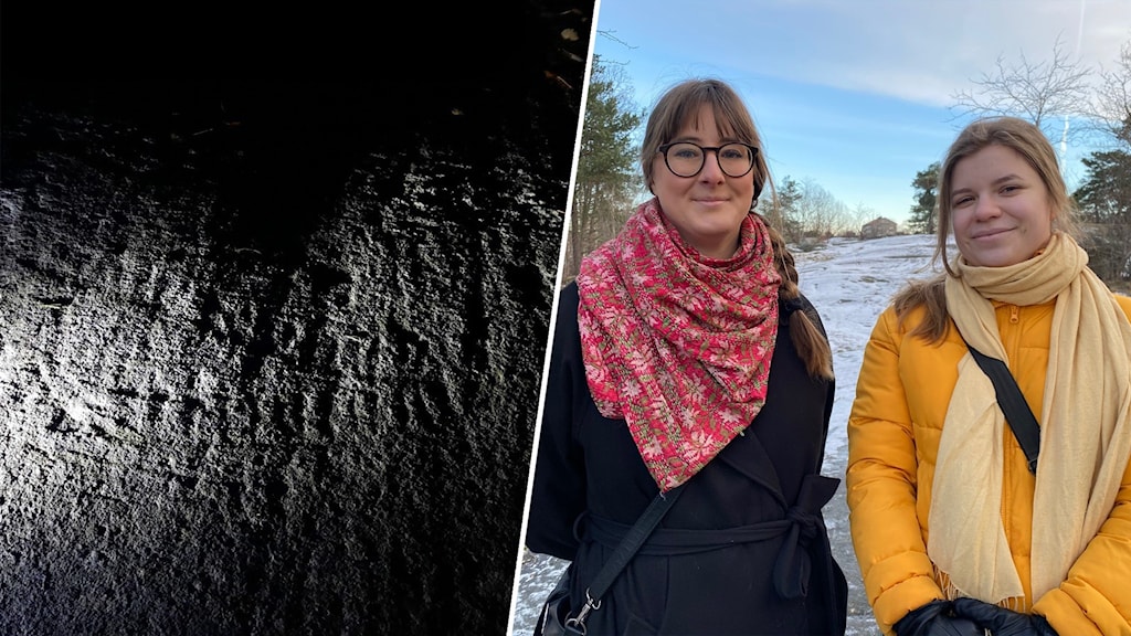 De hittade hällristningar från bronsåldern – mitt i stan - P4 Stockholm ...