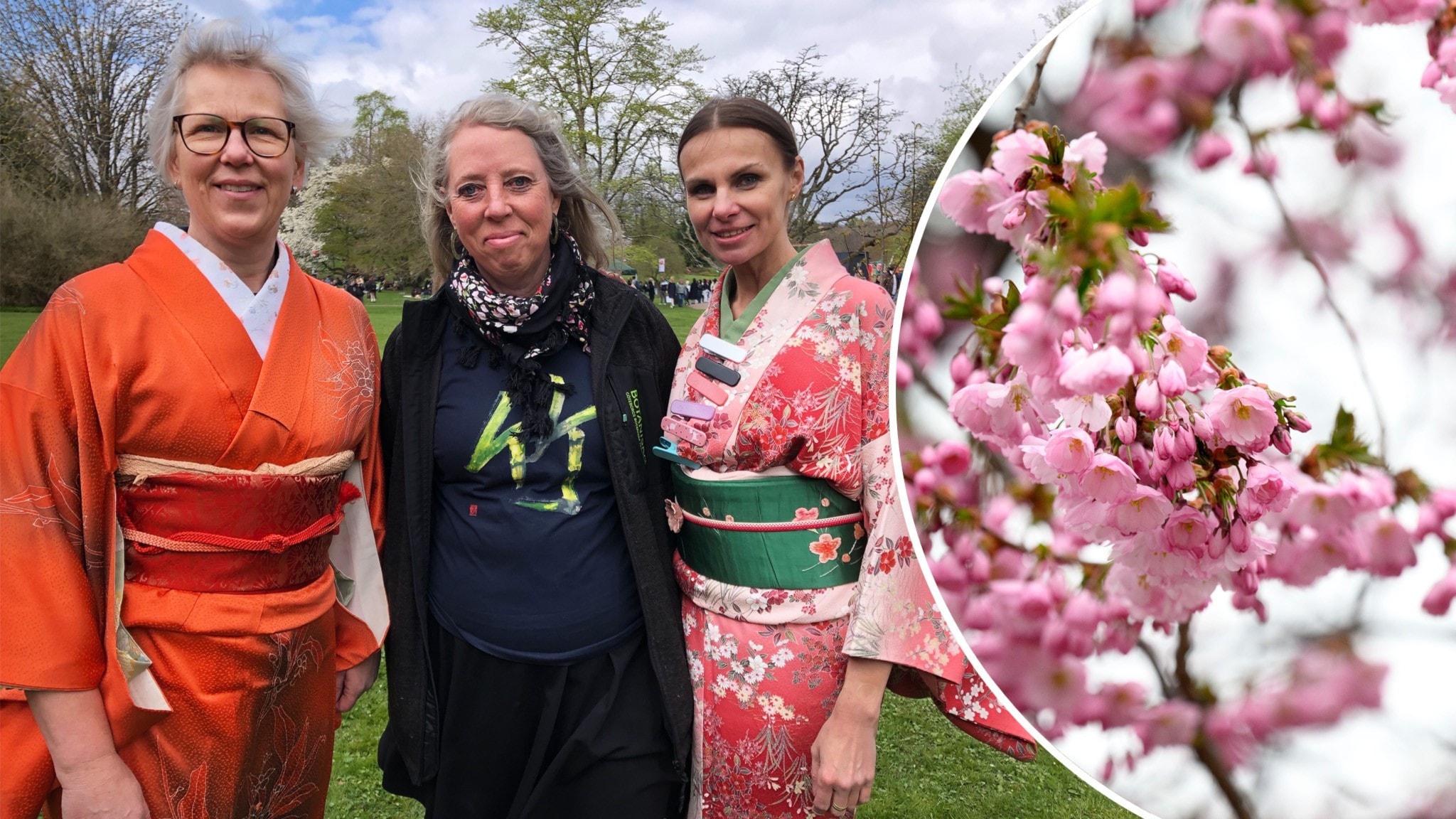 Japansk kultur intog Botaniska trädgården: 