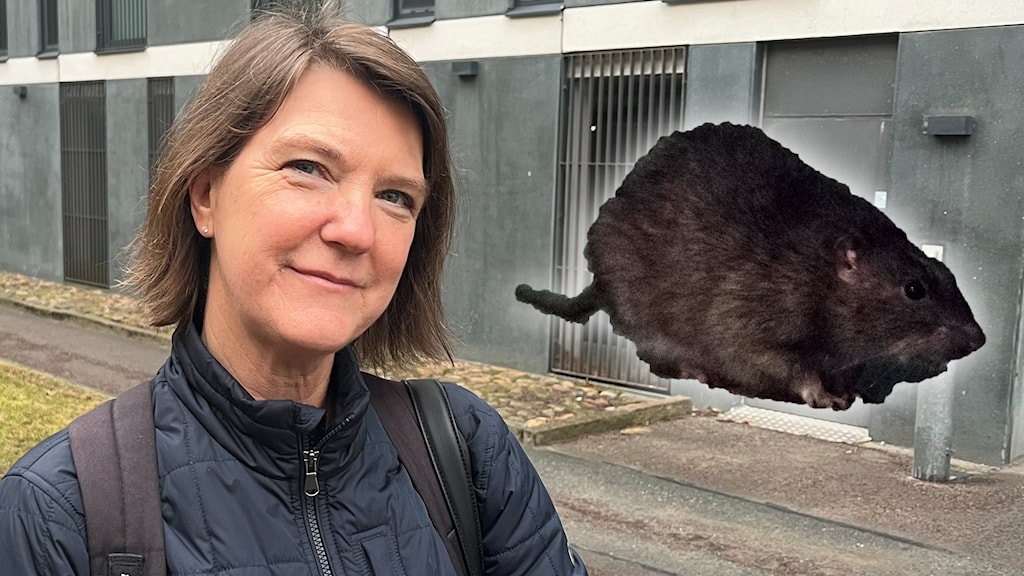 Pia flyttade till Göteborg – började se råttor överallt - P4 Göteborg ...