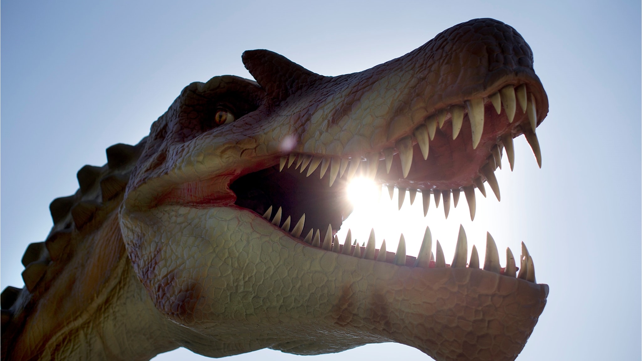 Fanns Det Dinosaurier I Sverige
