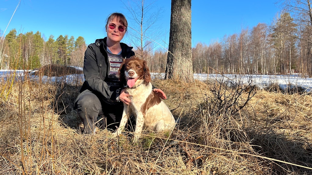 Hunden Kraja Hj lper Hus gare I V sterbotten Att Hitta M rdarsniglar hunden-kraja-hj-lper-hus-gare-i-v-sterbotten-att-hitta-m-rdarsniglar