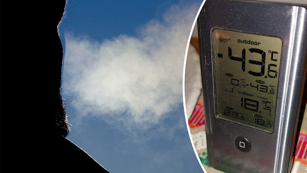 Minus 43,6 grader i Åsele: ”Myggfritt i Norrland” - P4 Västerbotten ...