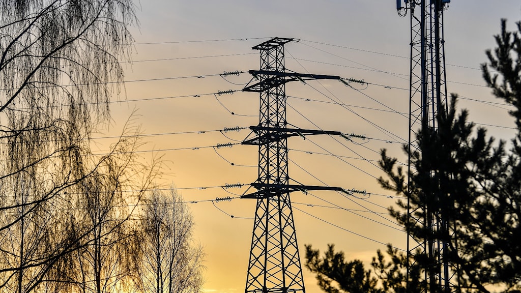 Flera Elbolag Vill S ga Upp Bundna Avtal Men Inte M larenergi P4 