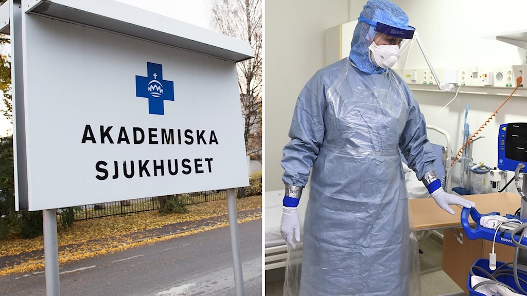 Instagram Se Vilka Som Besökt