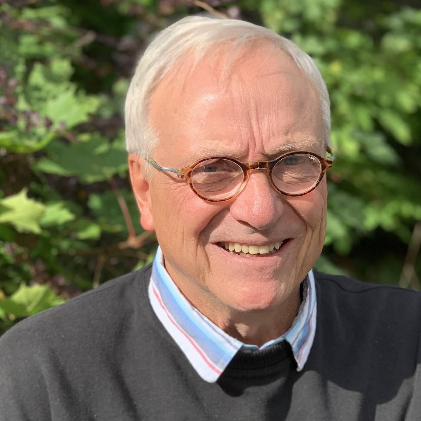 Claes Hultling - Månstrimman