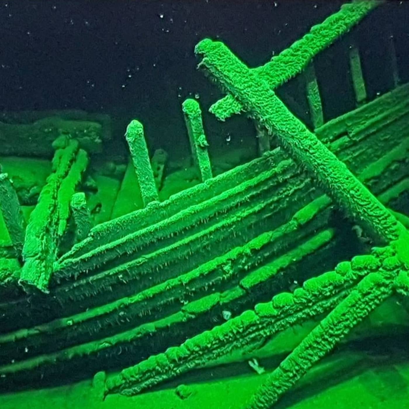 Ingen har sett antikens skepp sedan antiken – förrän nu episode artwork