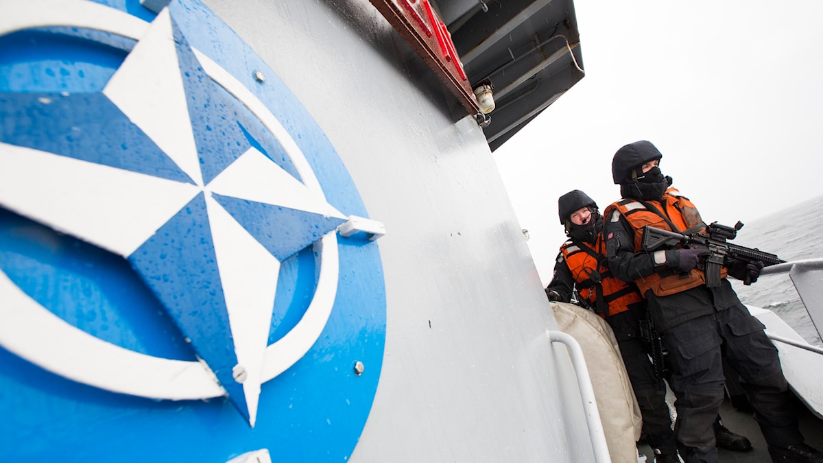 Varför Ska Sverige Inte Gå Med I Nato