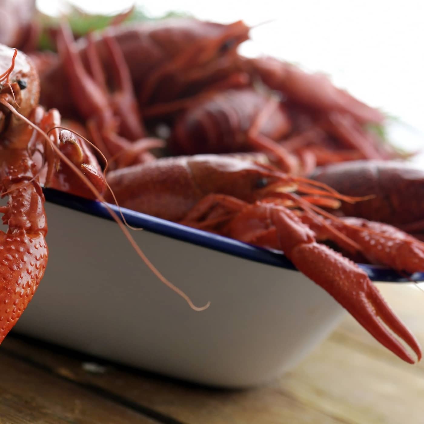 Covid-19 update, Afghan interpreters may receive asylum, trial of accused war criminal begins, crayfish season