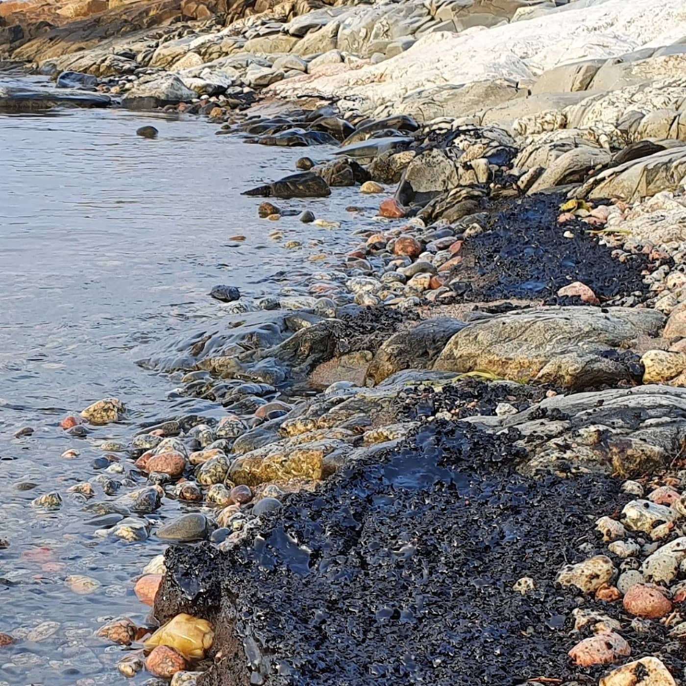 Government moves forward with Cementa law change, kids vaccine start date in October, oil spill in northern Baltic