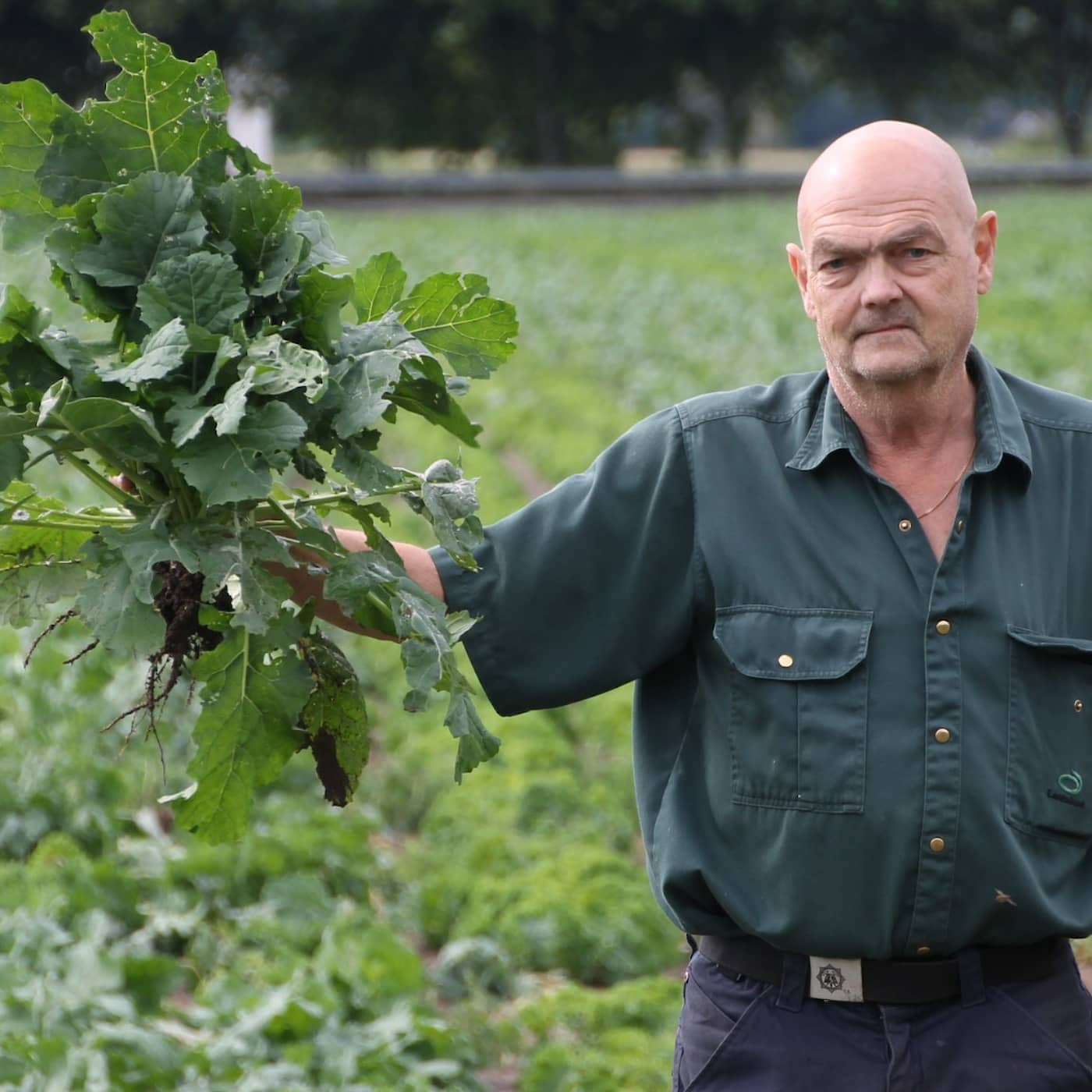 Attack at Eslöv school, delta variant mutation in Uppsala, Gävle / Dalarna flooding update, Growers confounded by fake kale