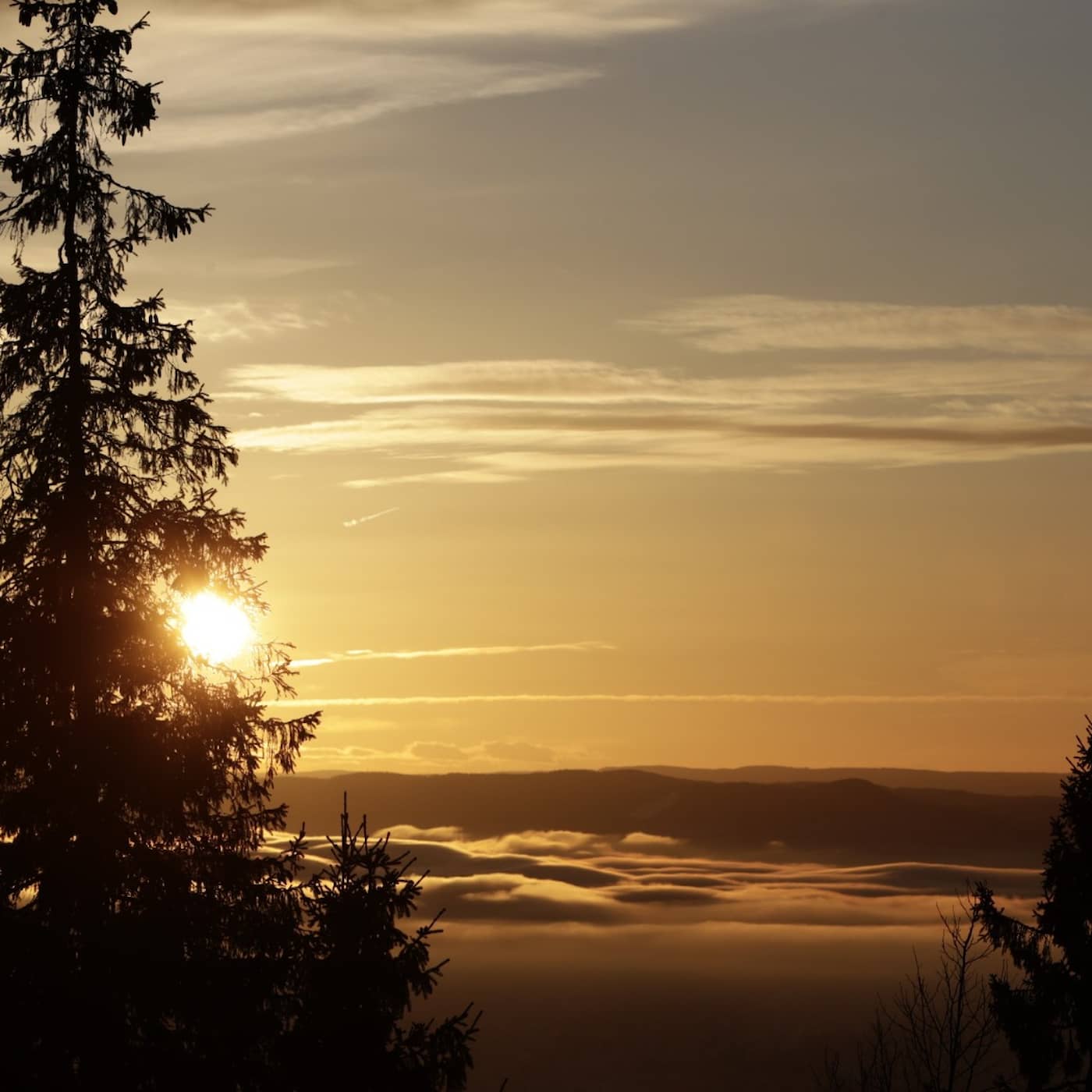 UK travel ban, sun-block project in Kiruna, shortest day