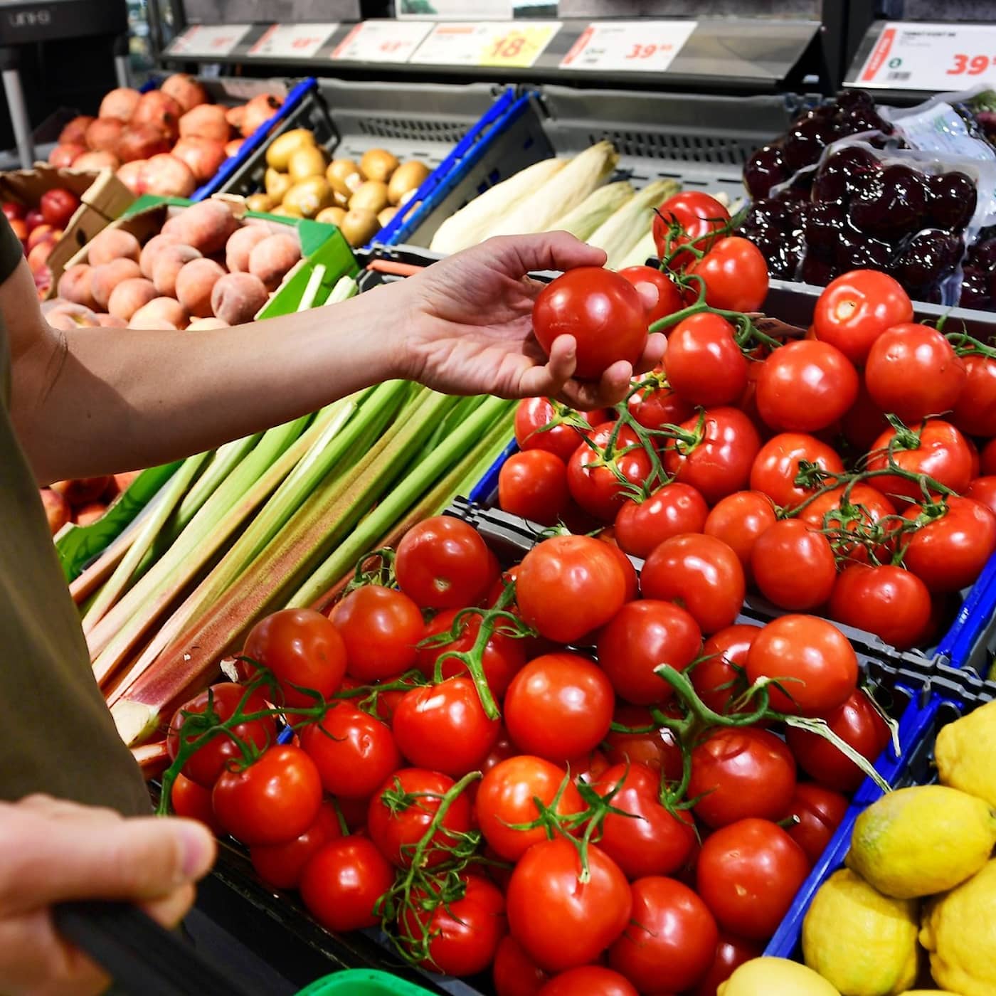 Vote-pairing chaos continues, Swedish inflation falls, citizenship test info released