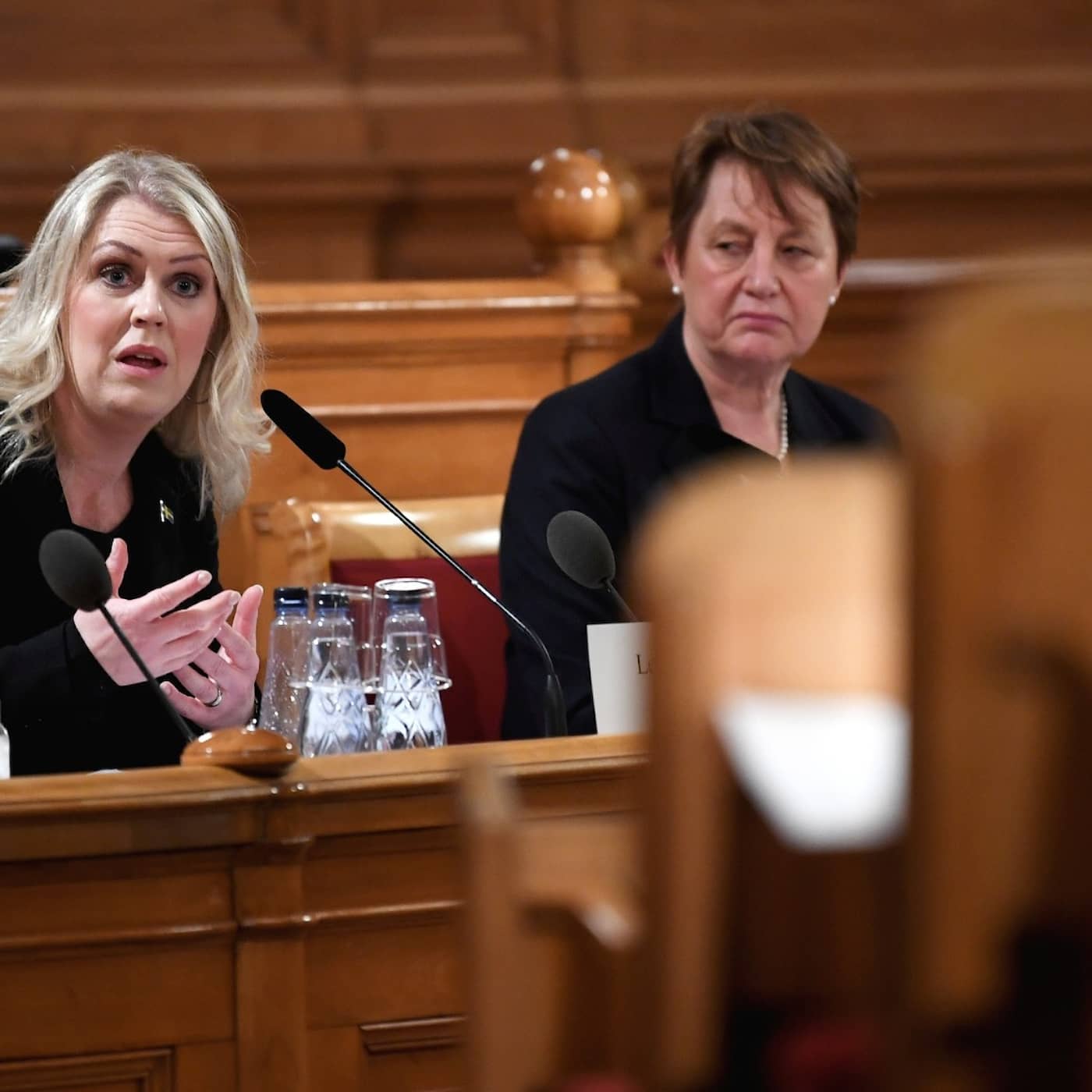 Hallengren in committee hearing, ban on multiple spouses, King Carl Gustaf on Prince Philip's death