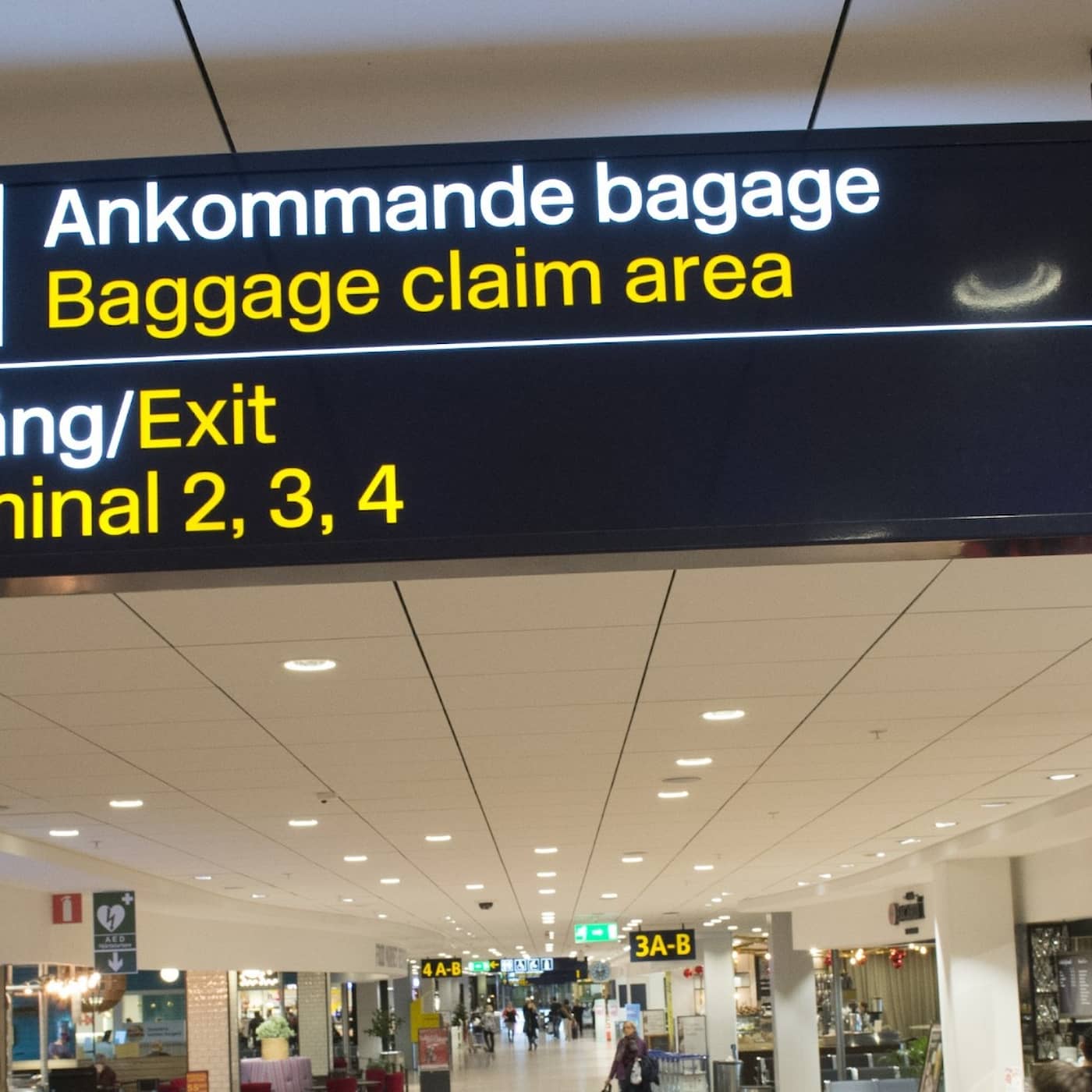 Ebola warning signs at Swedish airports, high electricity prices this summer, reports to social services gone up, Tori Amos vs a Swedish Elk