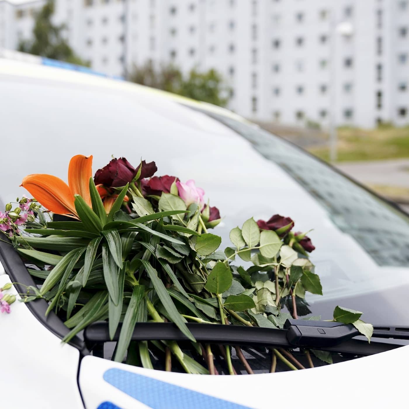 Arrest for police killing, Christian Democrats leader admits to libel, Löfven's Monday deadline