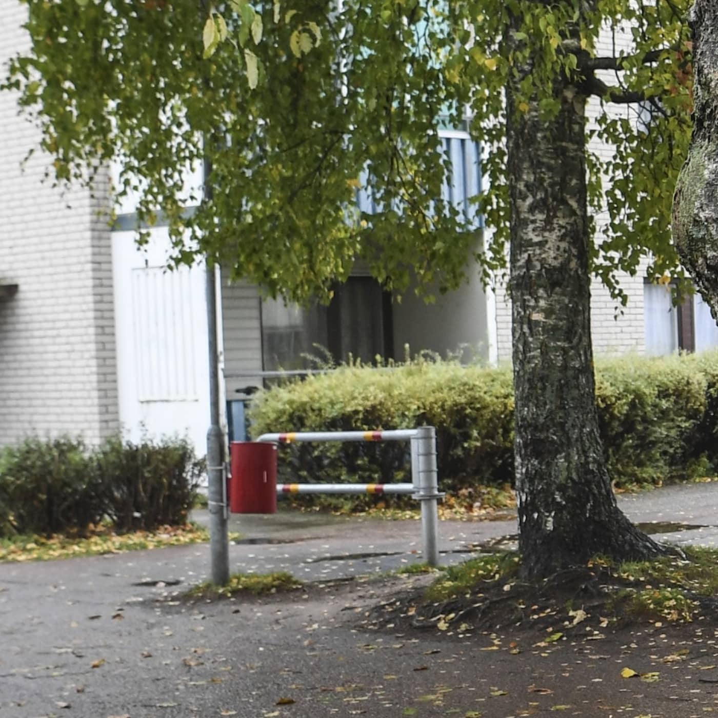 Three suspects in election fraud probe, citizenship test results, kids hospitalised after eating sweets, sewage sludge concerns
