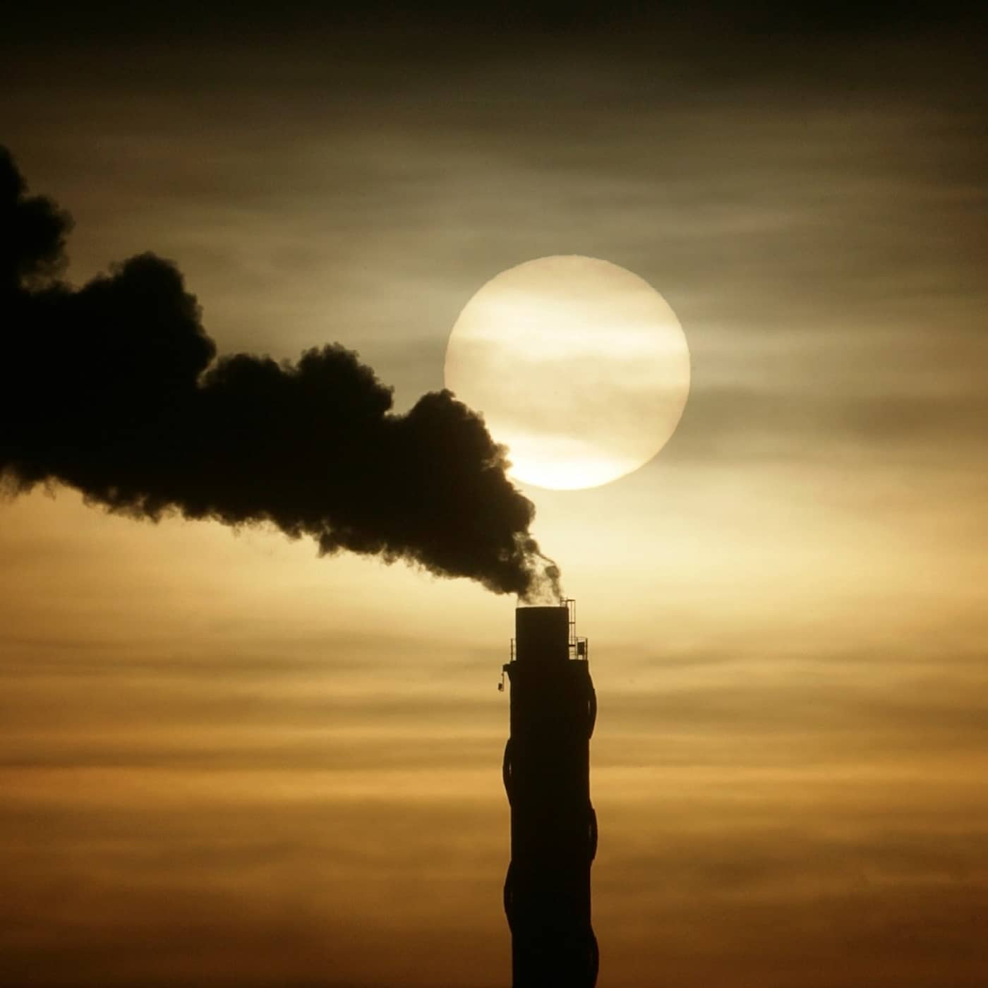 IPCC report, Covid certificates, children vaccinated without parents' consent, Olympics summary