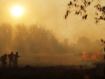 As Europe burns, memories of Sweden’s deadly Västmanland fire return