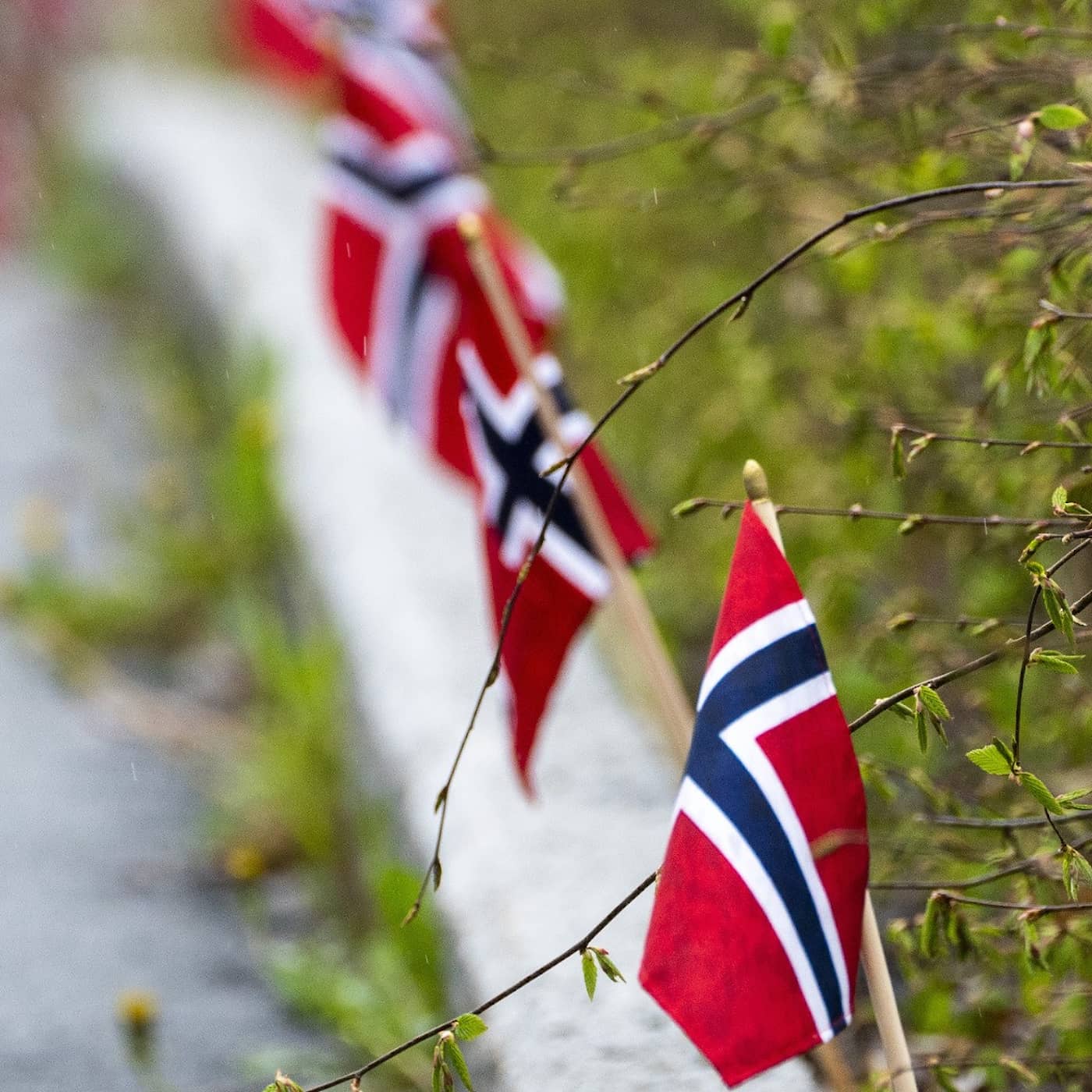 Norway border tightens, Embassy in Kabul, Costa del crime, Malmö accident black spot