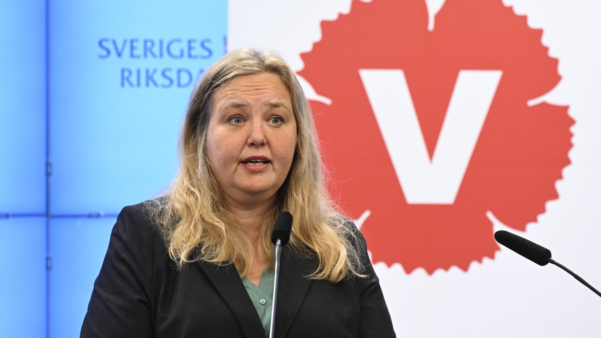 Left Party ready for snap election after deadlocked government negotiations