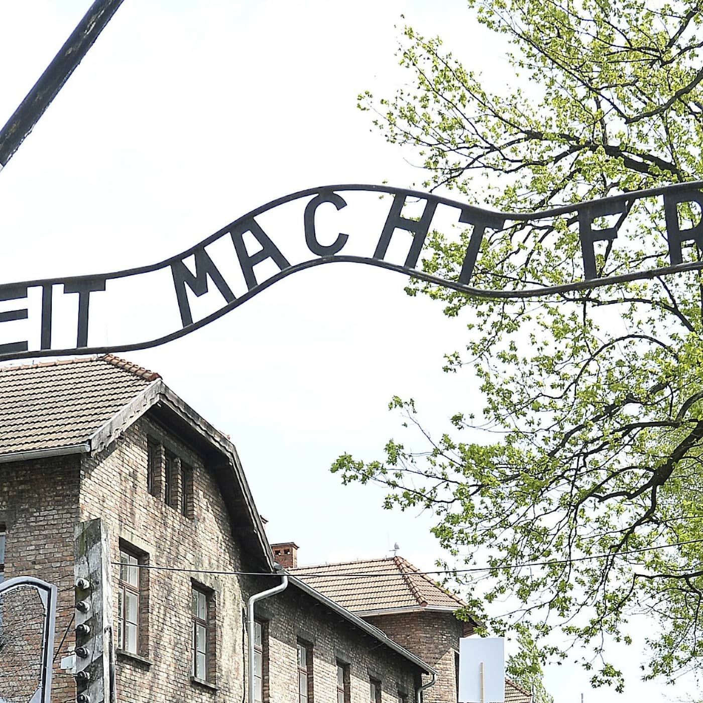 Janssen vaccine paused, ban on Holocaust denial, Kalmar enters phase 3, expensive toilet break