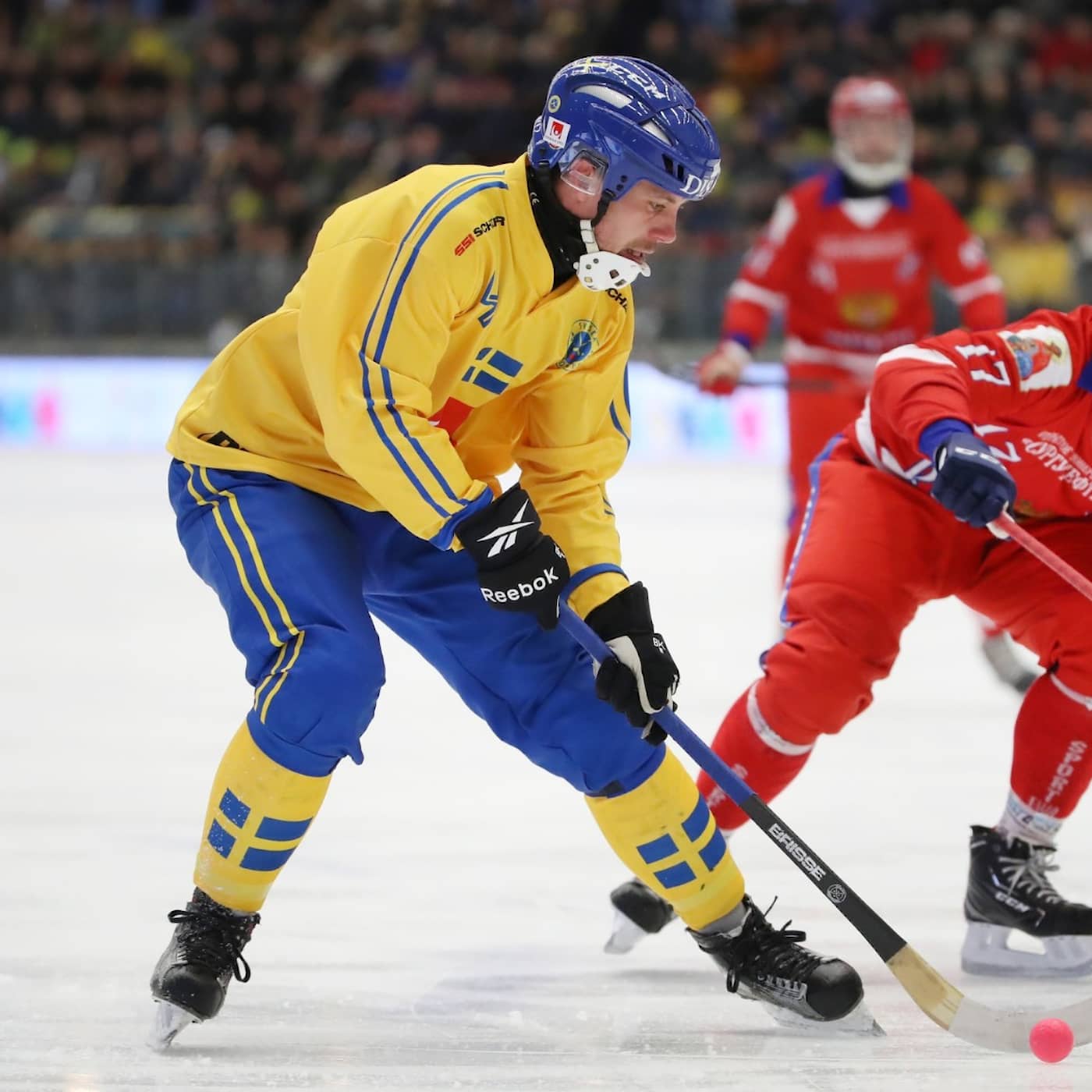 Andersson in talks with Nato over Russia, another new Covid record, bandy tournament cancelled, rare turtle found on west coast