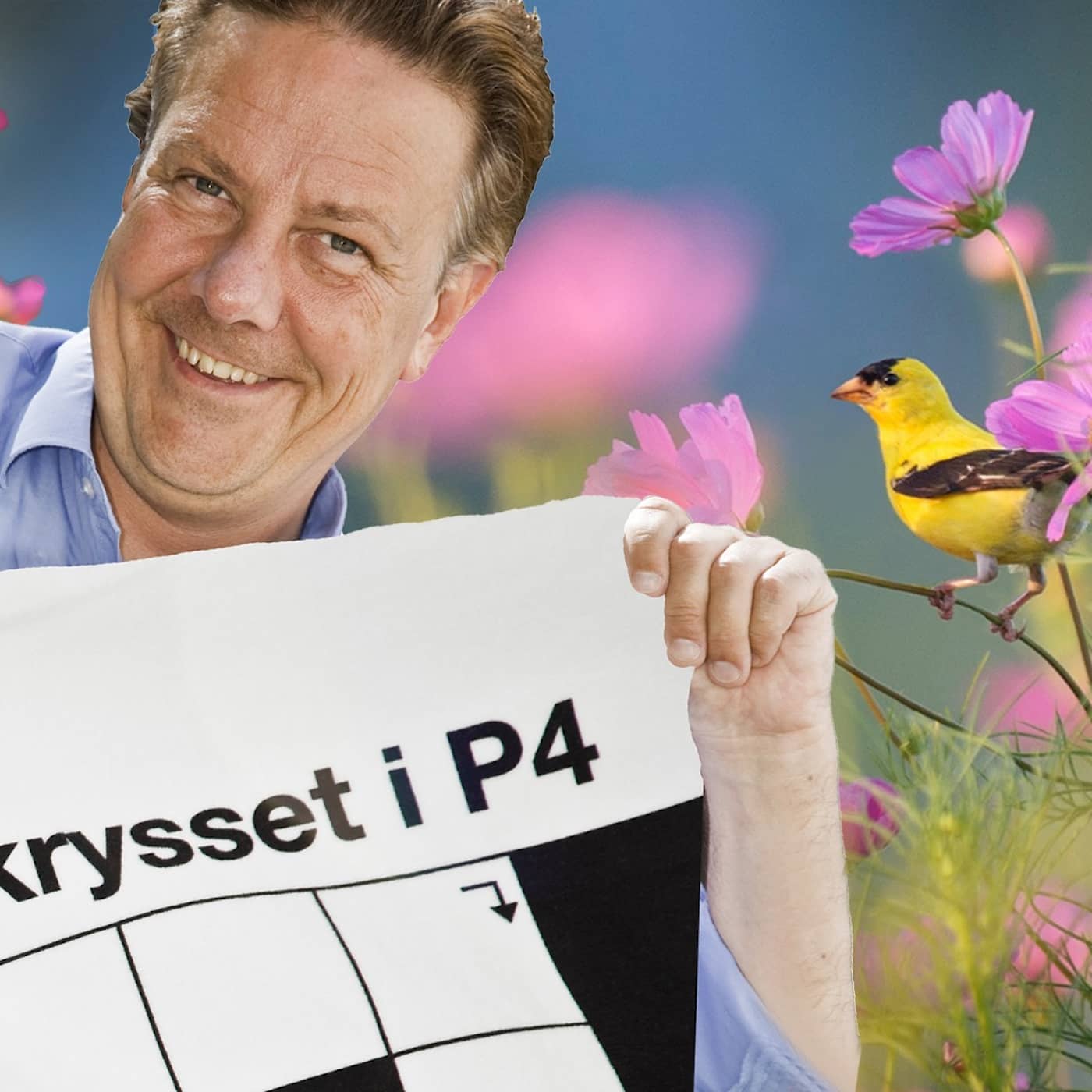 Melodikrysset vecka 27 – ett musikaliskt korsord med Anders Eldeman episode artwork