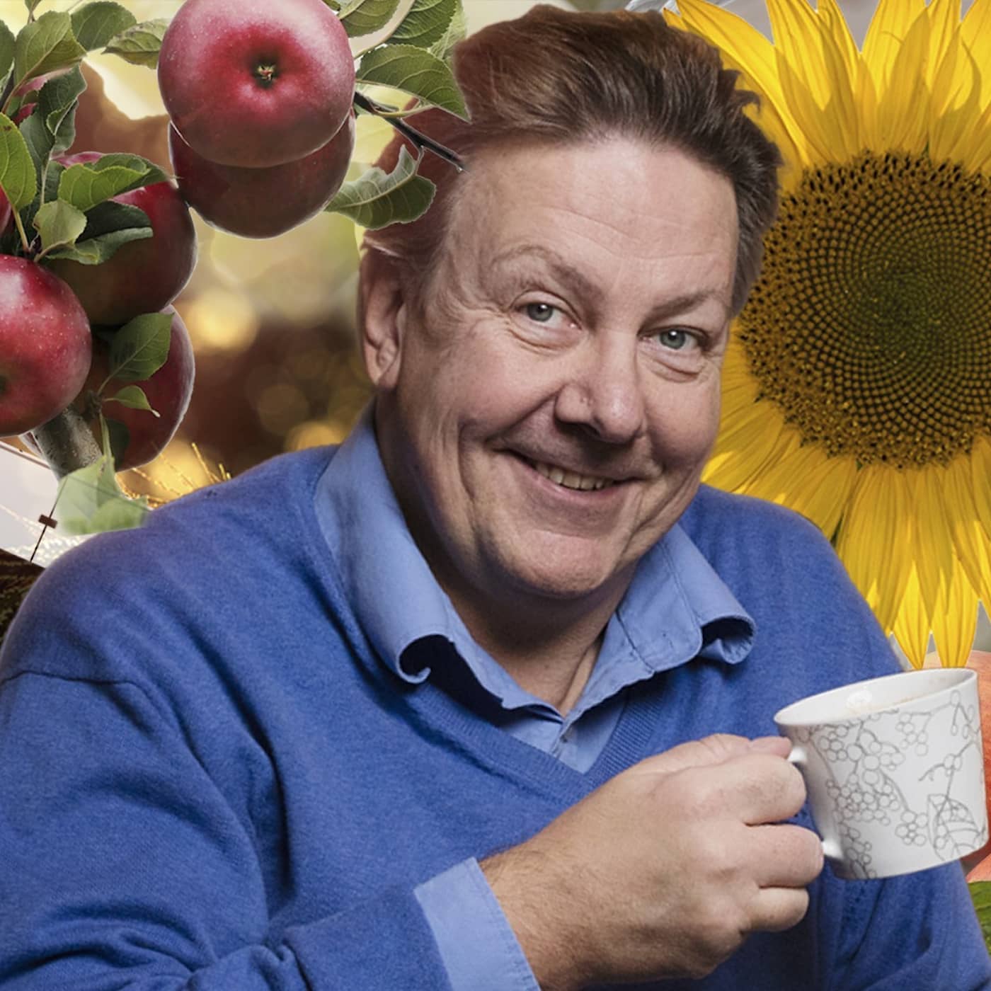 Melodikrysset vecka 35 – ett musikaliskt korsord med Anders Eldeman episode artwork