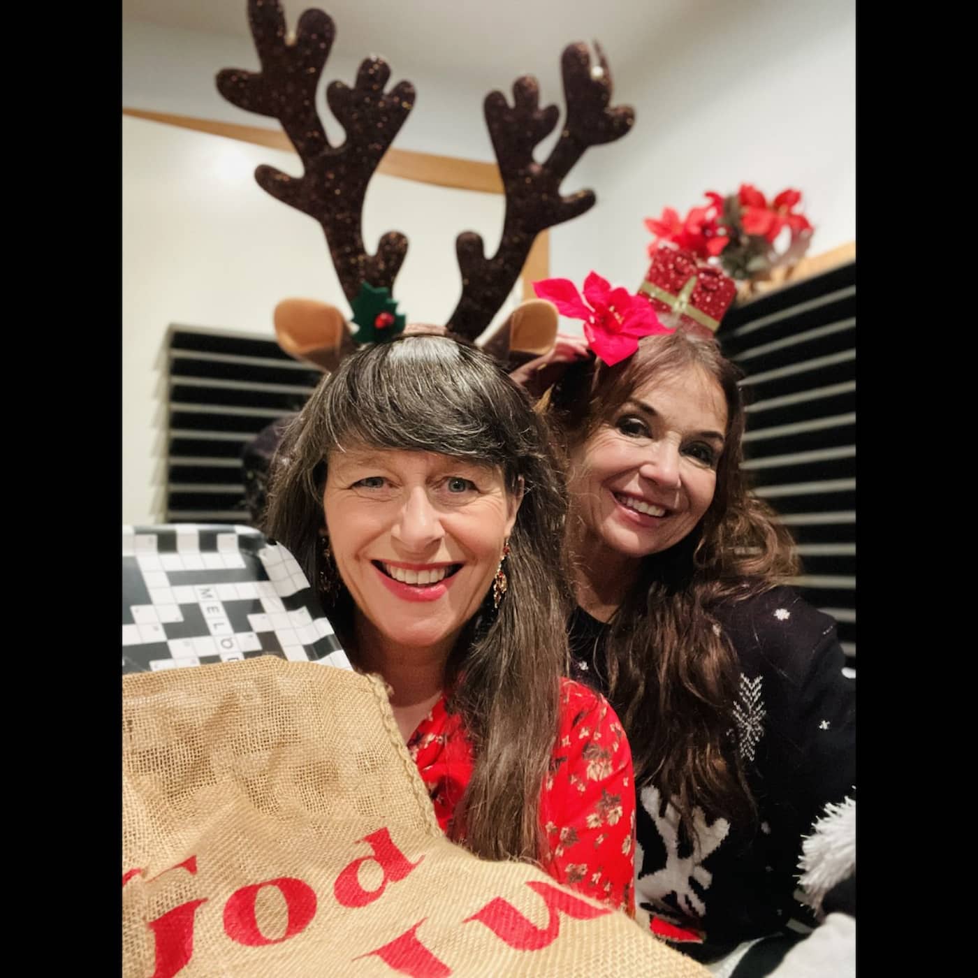 Melodikrysset 51 – Julkryss med Anna Charlotta Gunnarson episode artwork