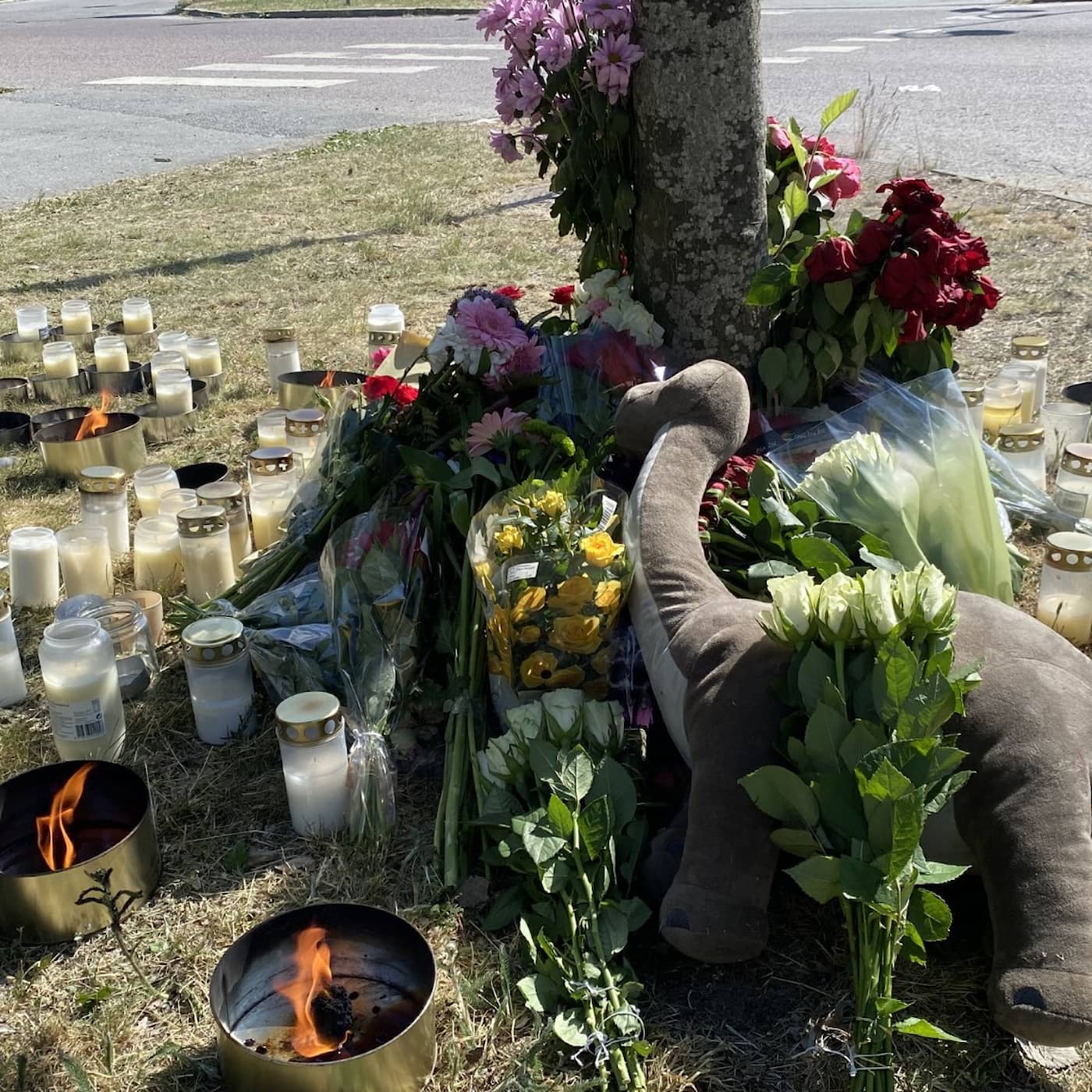 کاور دولت در صدد تعین سقف برای کمک هزینهها است؛ مرگ پسر۱۱ساله در حادثه ترافیکی در استکهلم و دادگاه مرد متهم به ارتکاب جرایم جنگی در سوریه