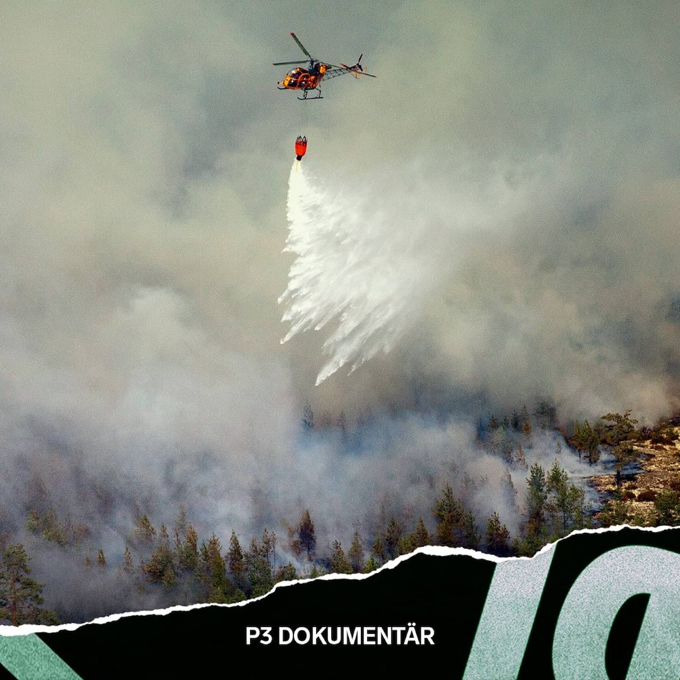 Skogsbranden i V&auml;stmanland