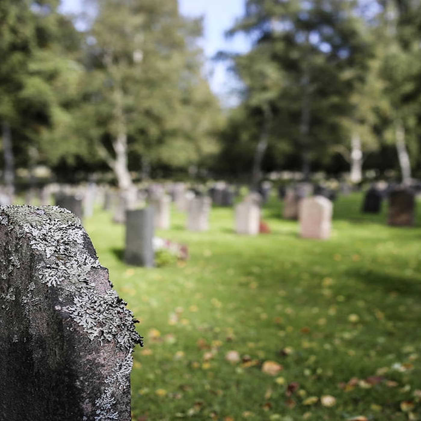 Plånboken special om Klarnas betalningsmetoder, självhushållning och digitala kyrkogårdar.
