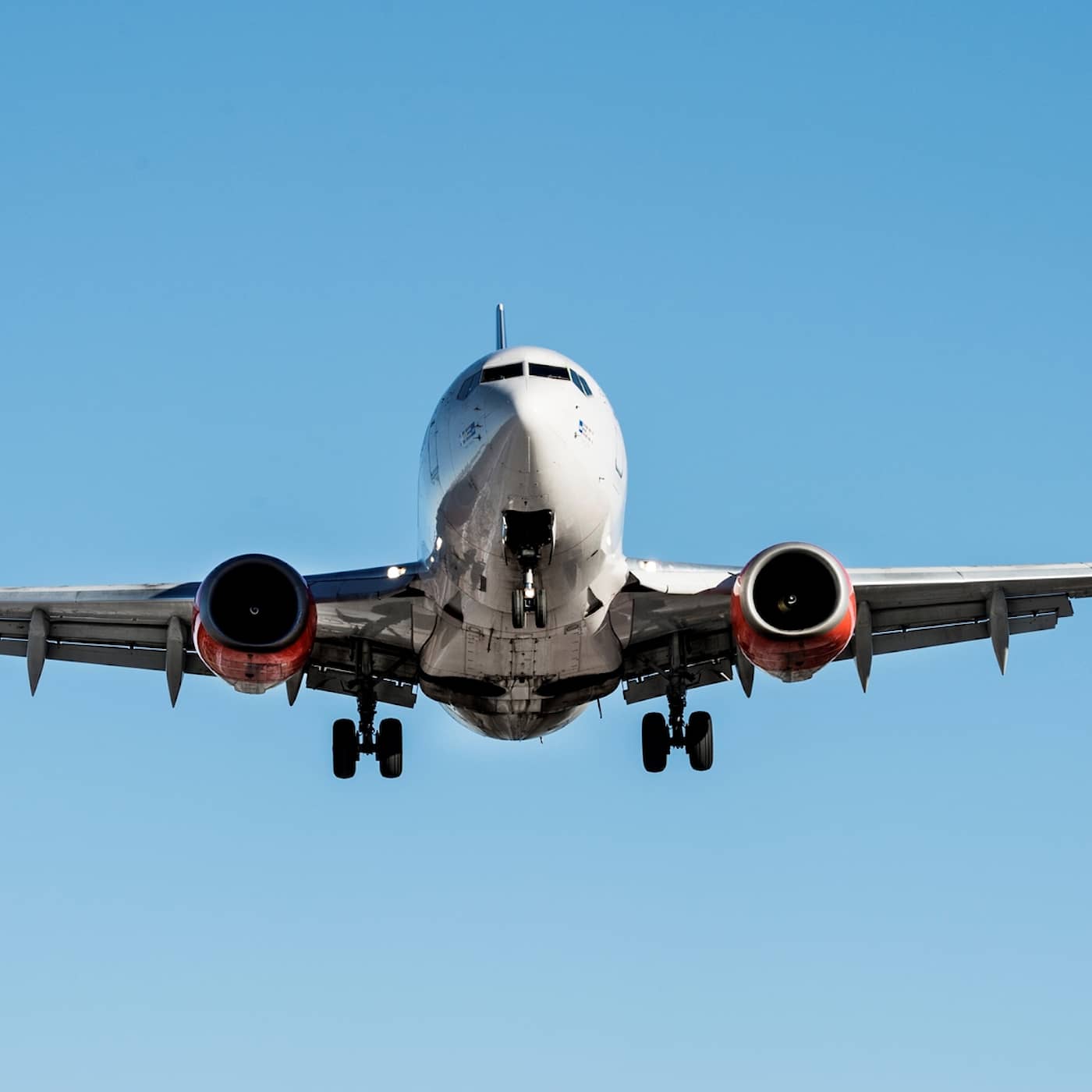 De fick inte följa med flyget hem, prylbantning och så vill företagen vinna tillbaka kunder