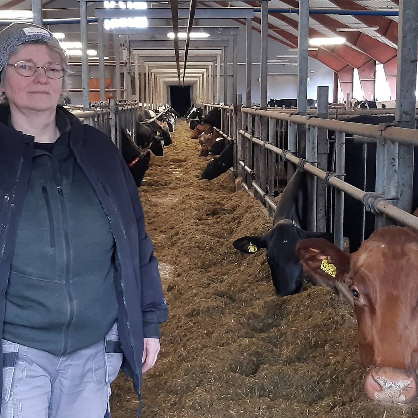 Sommarspecial om att allt färre handlar ekologiskt – och konsekvenserna med det