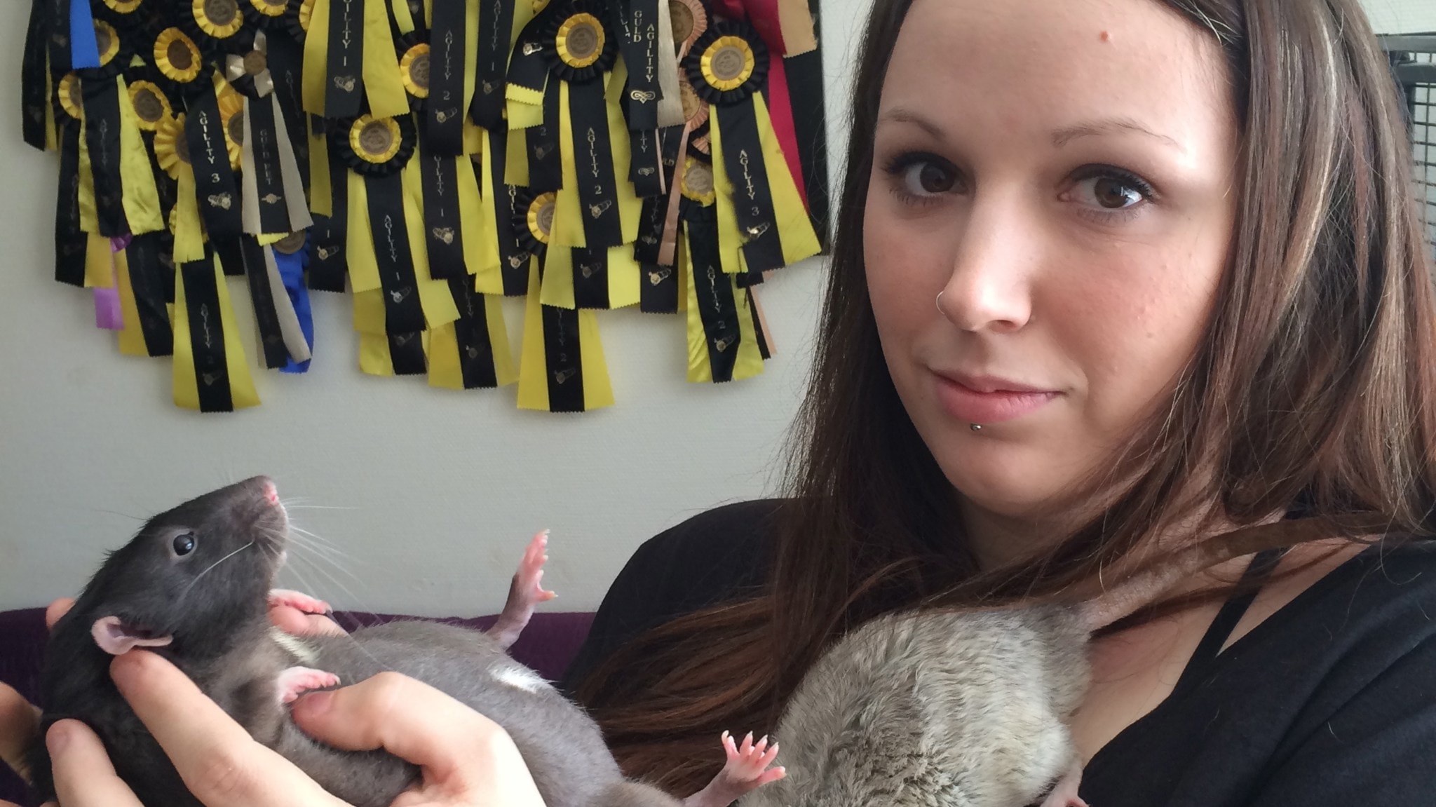 Monsterråttans försvarare 8 april 2014 kl 18.03 - Verkligheten i P3 ...