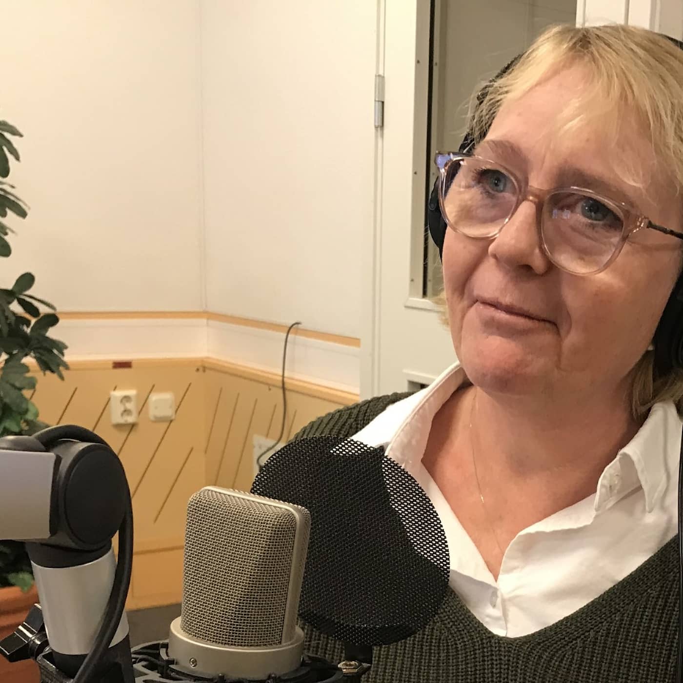 Hur stor är sjukvårdskrisen i Stockholm, Iréne Svenonius (M), finansregionråd?  episode artwork