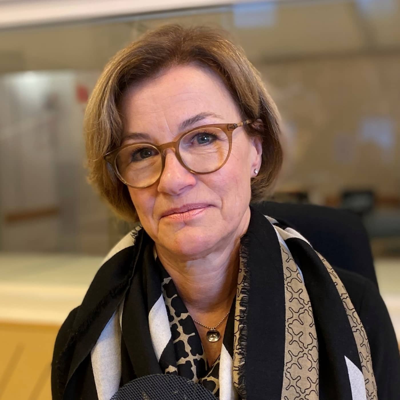 Eva Lindström: Risker när EU-miljarder ska ut snabbt episode artwork