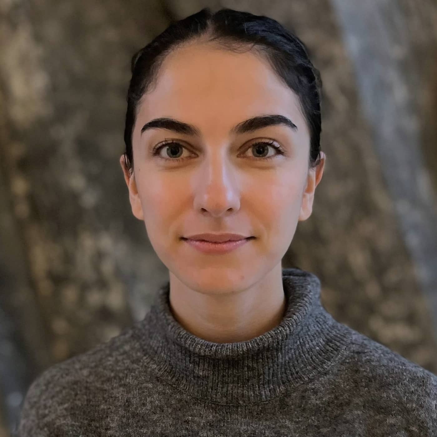 Romina Pourmokhtari (L): Utsläppen i år ökar mer än vi bedömt i våra beräkningar episode artwork