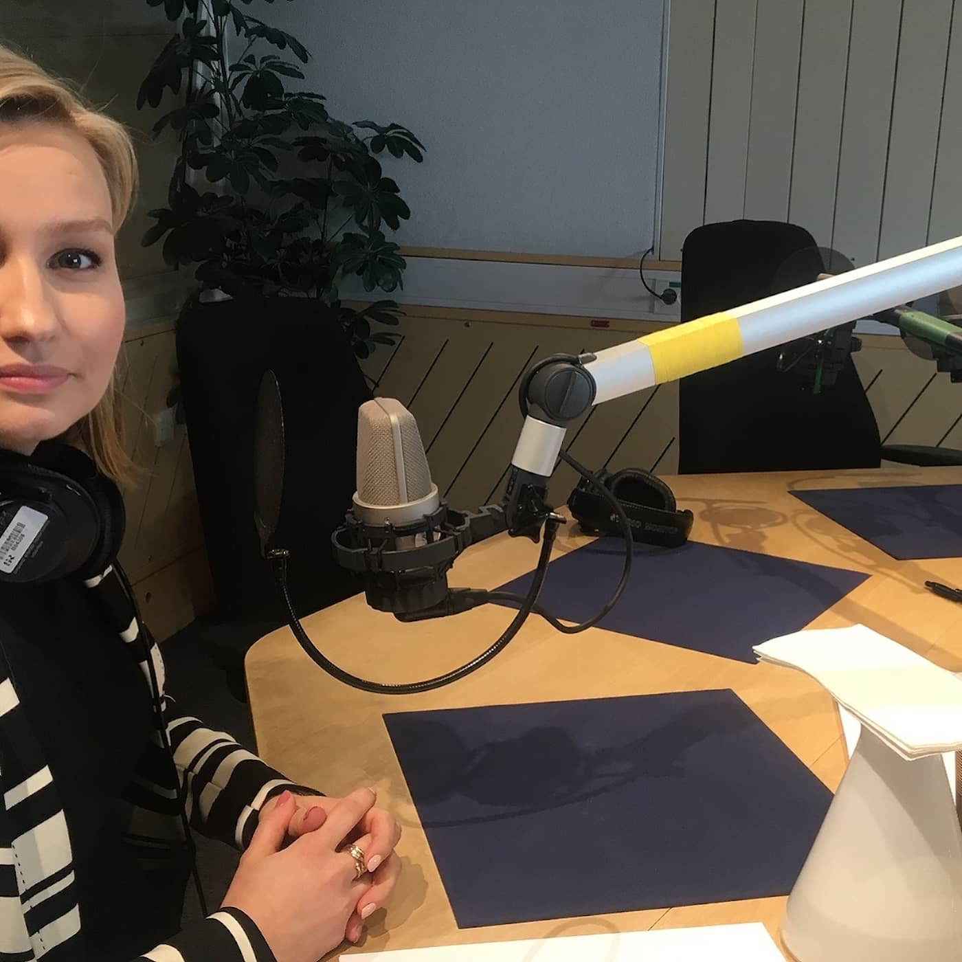 Hur ska du klara 4%-spärren, Ebba Busch Thor (KD)? episode artwork