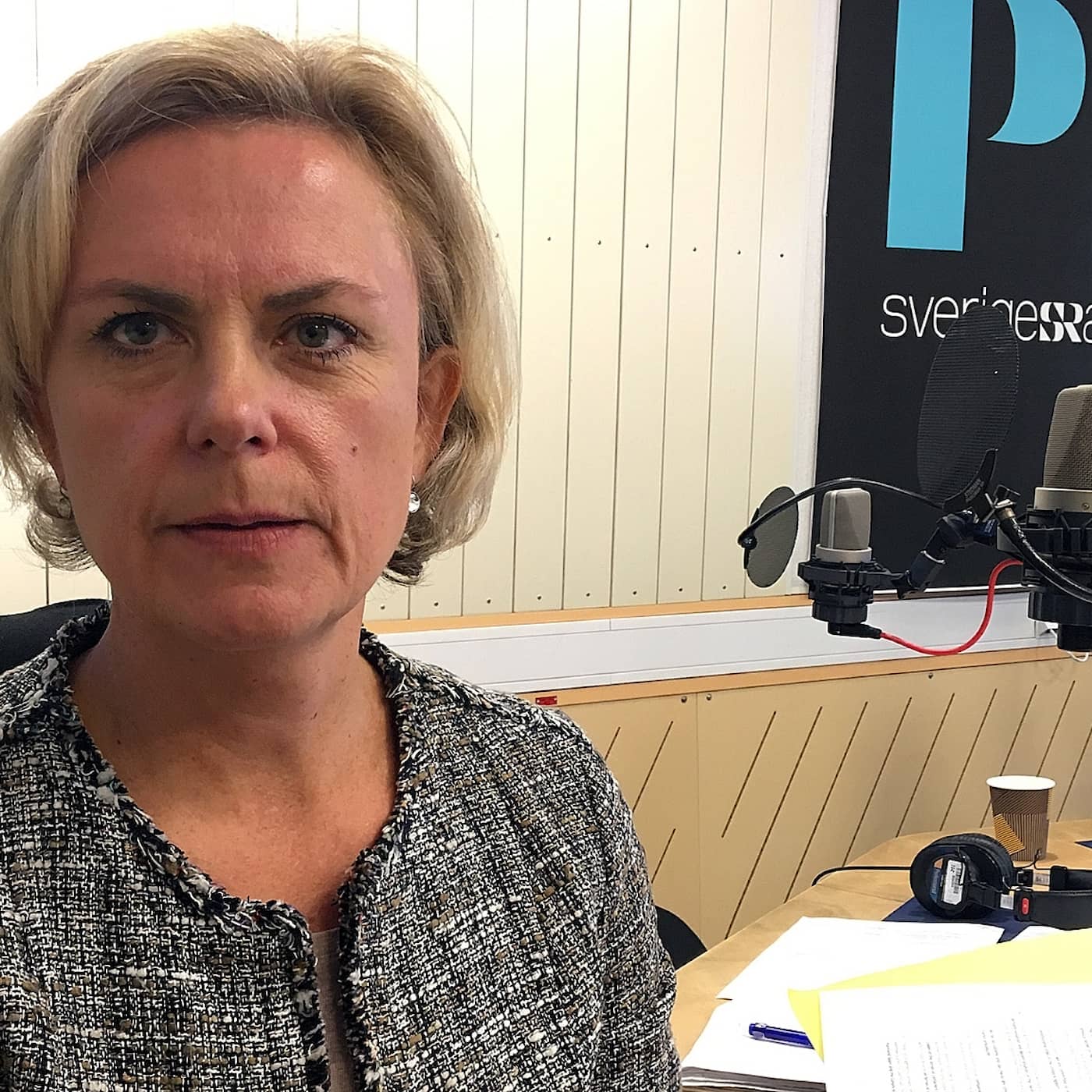 Hur stark är Sveriges röst i EU nu, Katarina Areskoug Mascarenhas, EU-Kommissionens Sverigechef? episode artwork