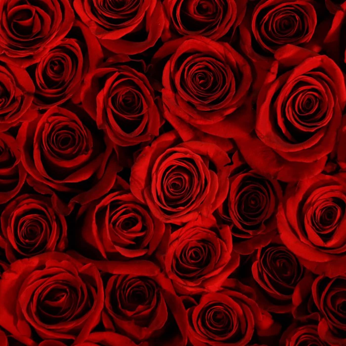 Love, love, love episode artwork