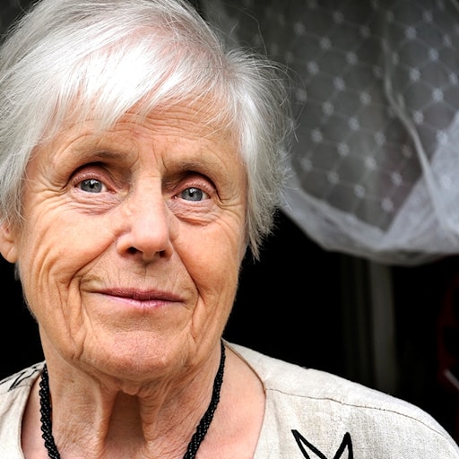Allvarligt talat med Elsie Johansson episode artwork