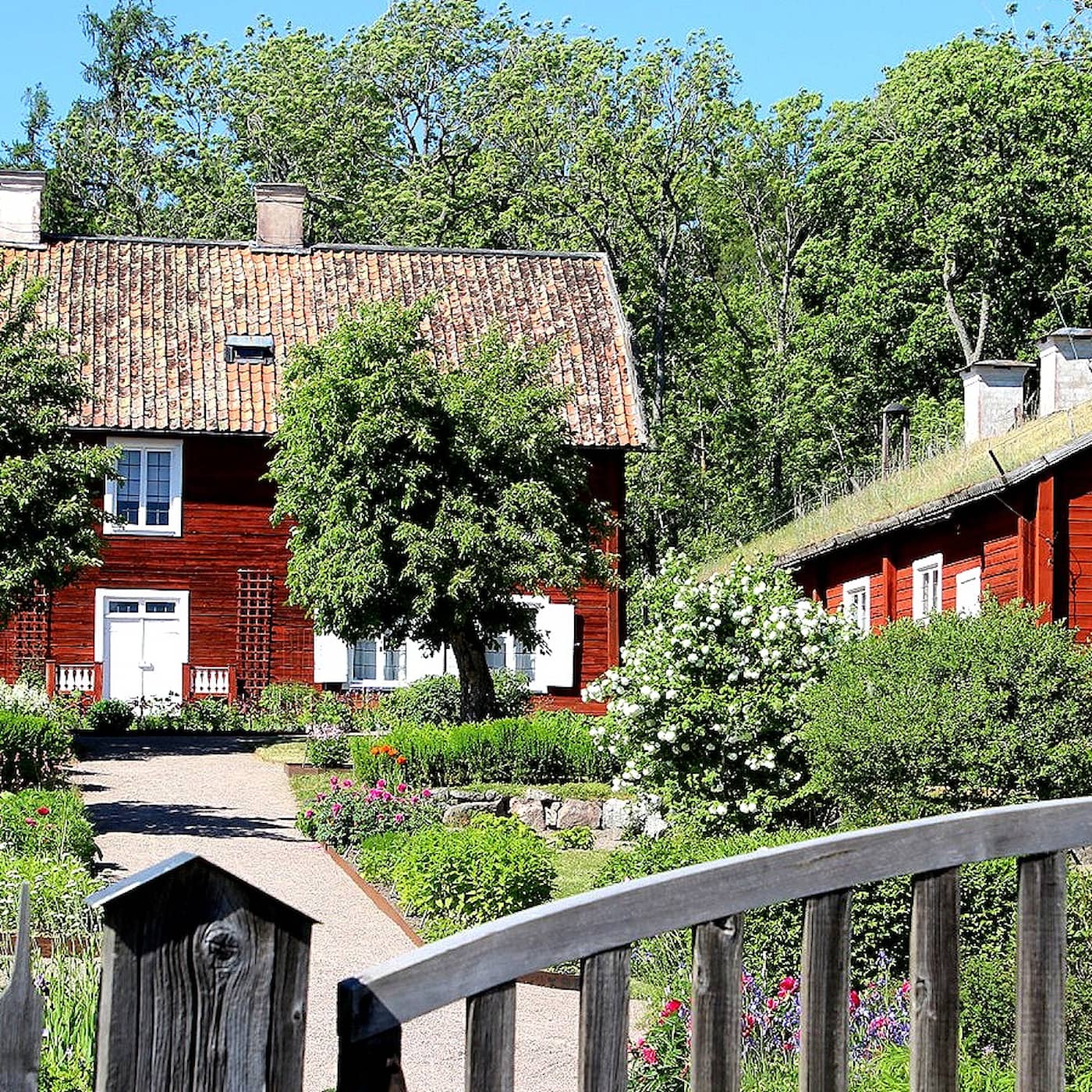 Linnés Hammarby – ett blommande kulturarv episode artwork