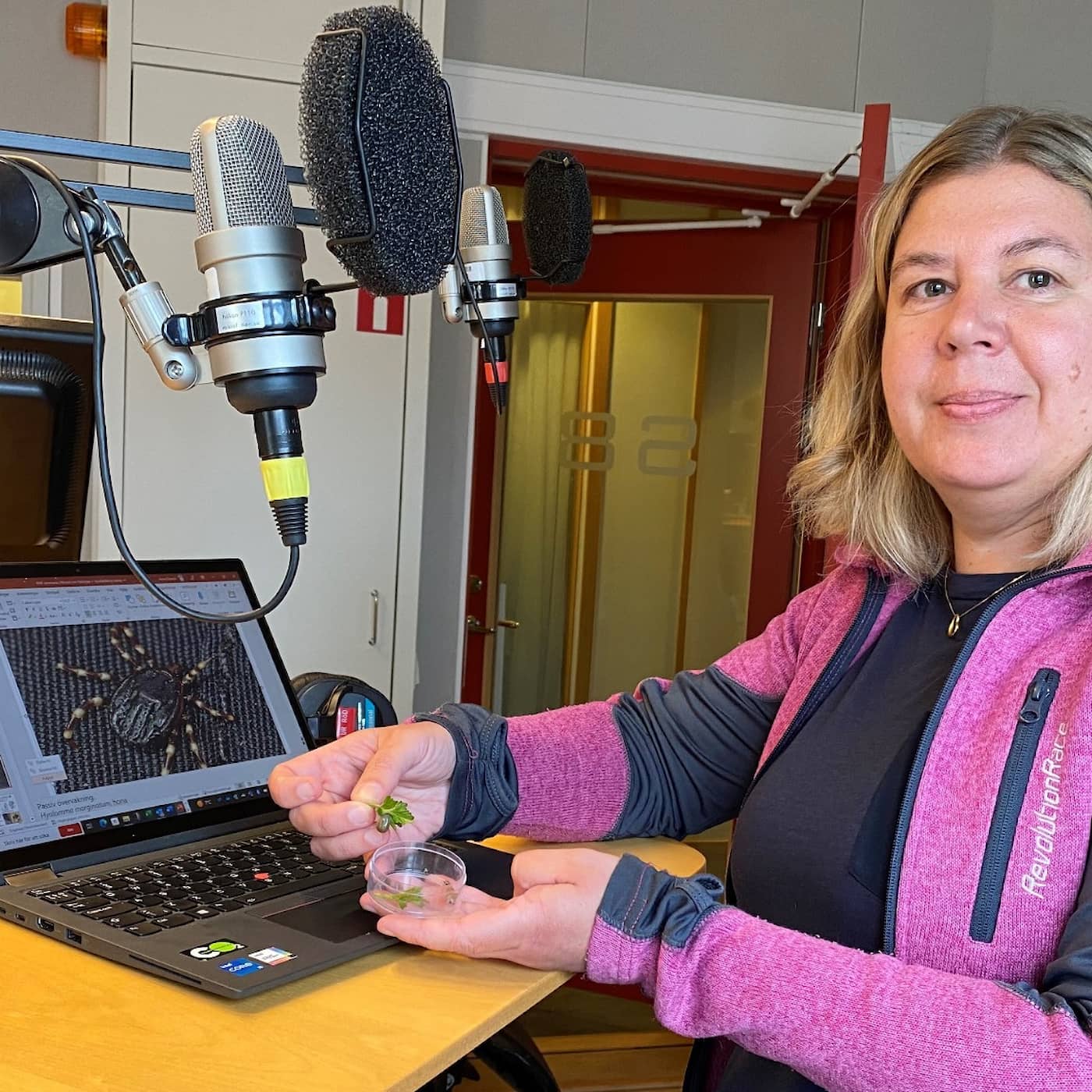 Forskare vill få bättre fästingkoll – så kan du hjälpa till
