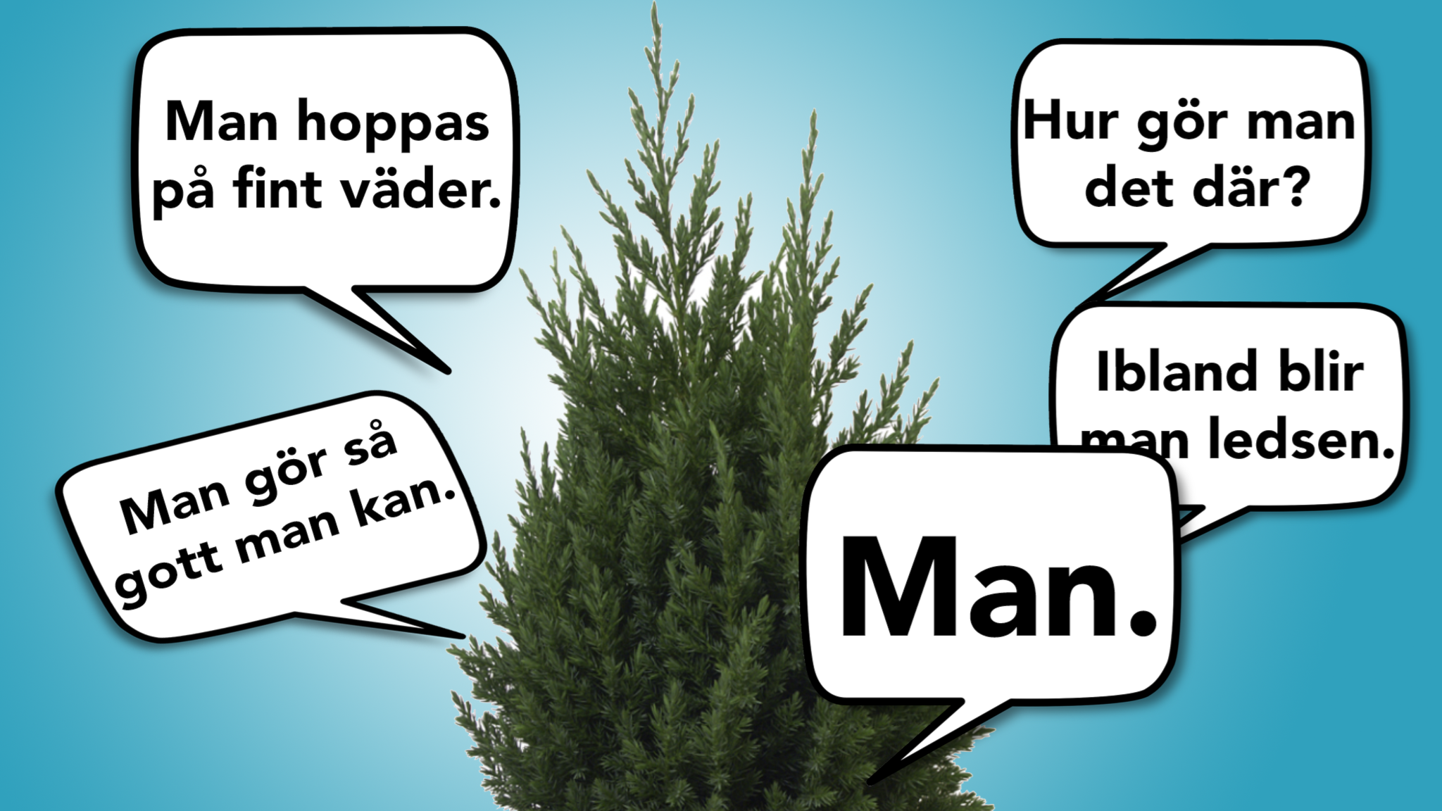Vad är Hallon På Engelska