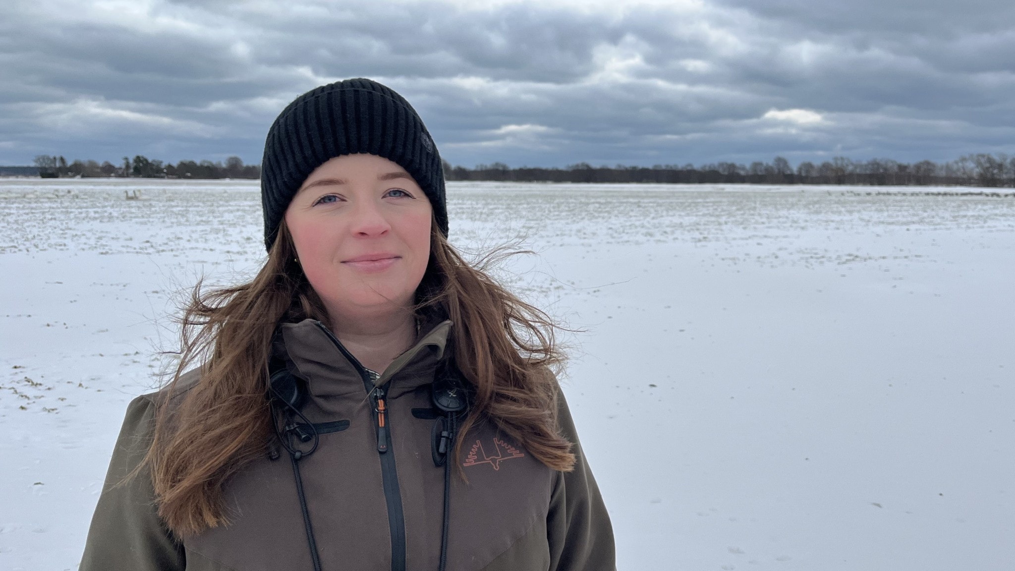 GPS-halsband avslöjar hur grågäss ändrar vinterns flytt