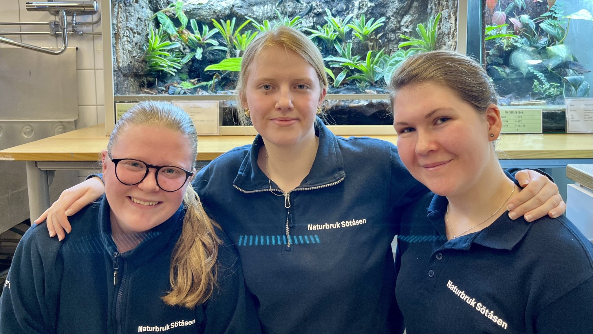 Nästan utdöd padda räddas av elever i Töreboda